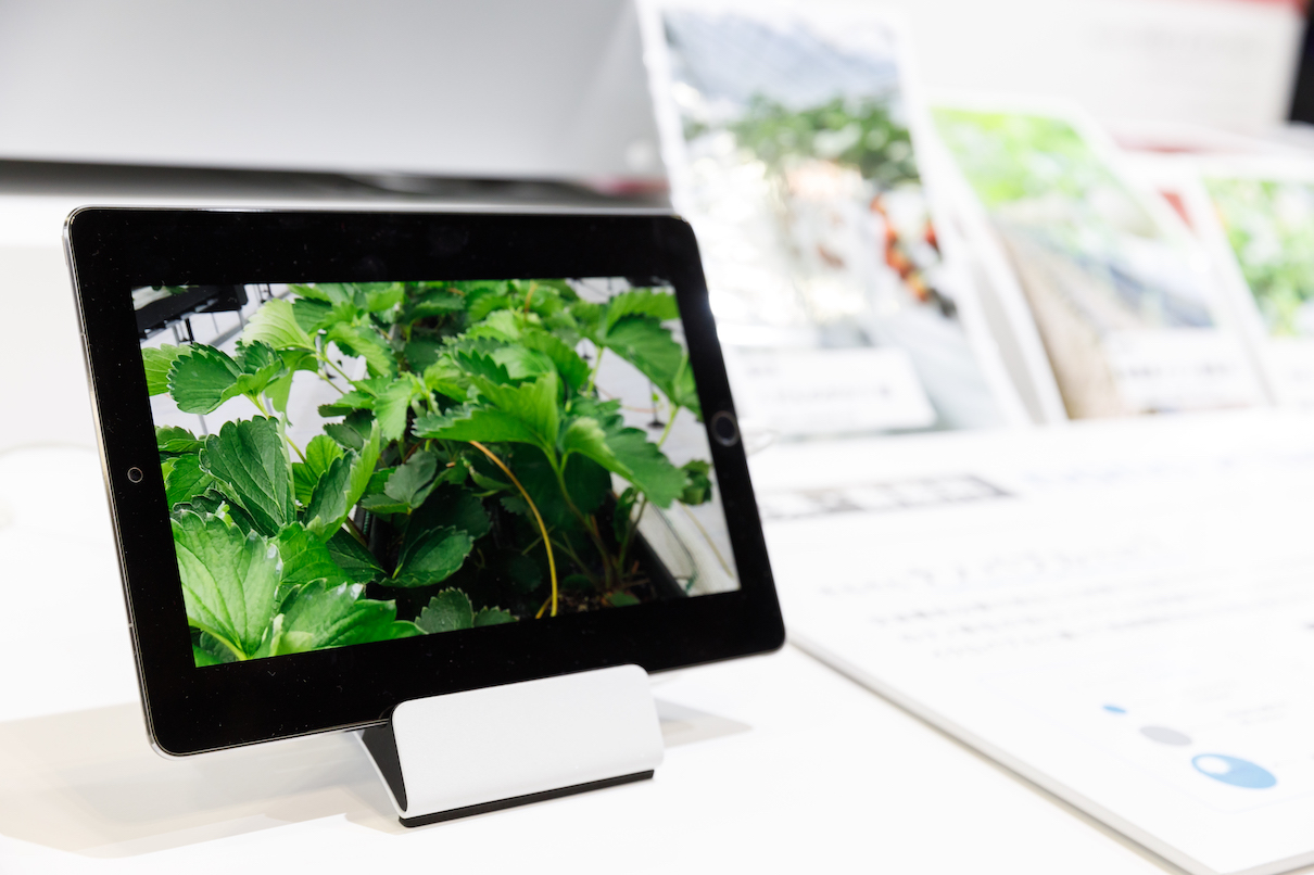 タブレットを陳列代に設置